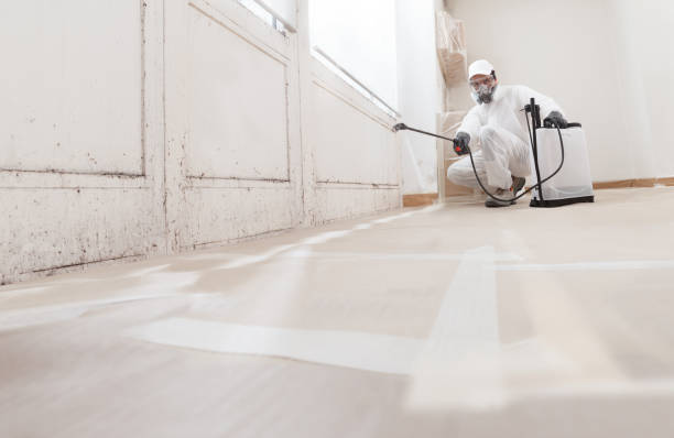 24/7 Emergency Commercial Mold Remediation experts in Marne, MI